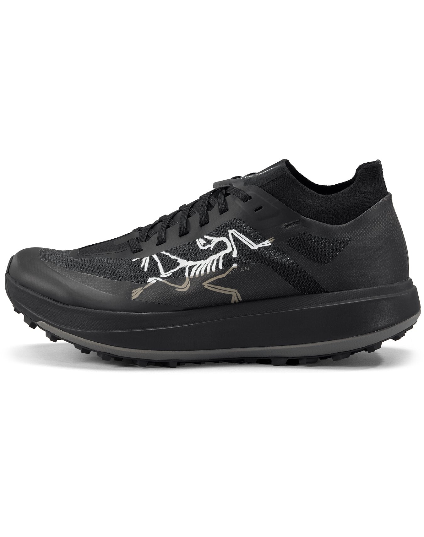 Arc teryx Sylan Pro Shoe Men s Black Black Size 12