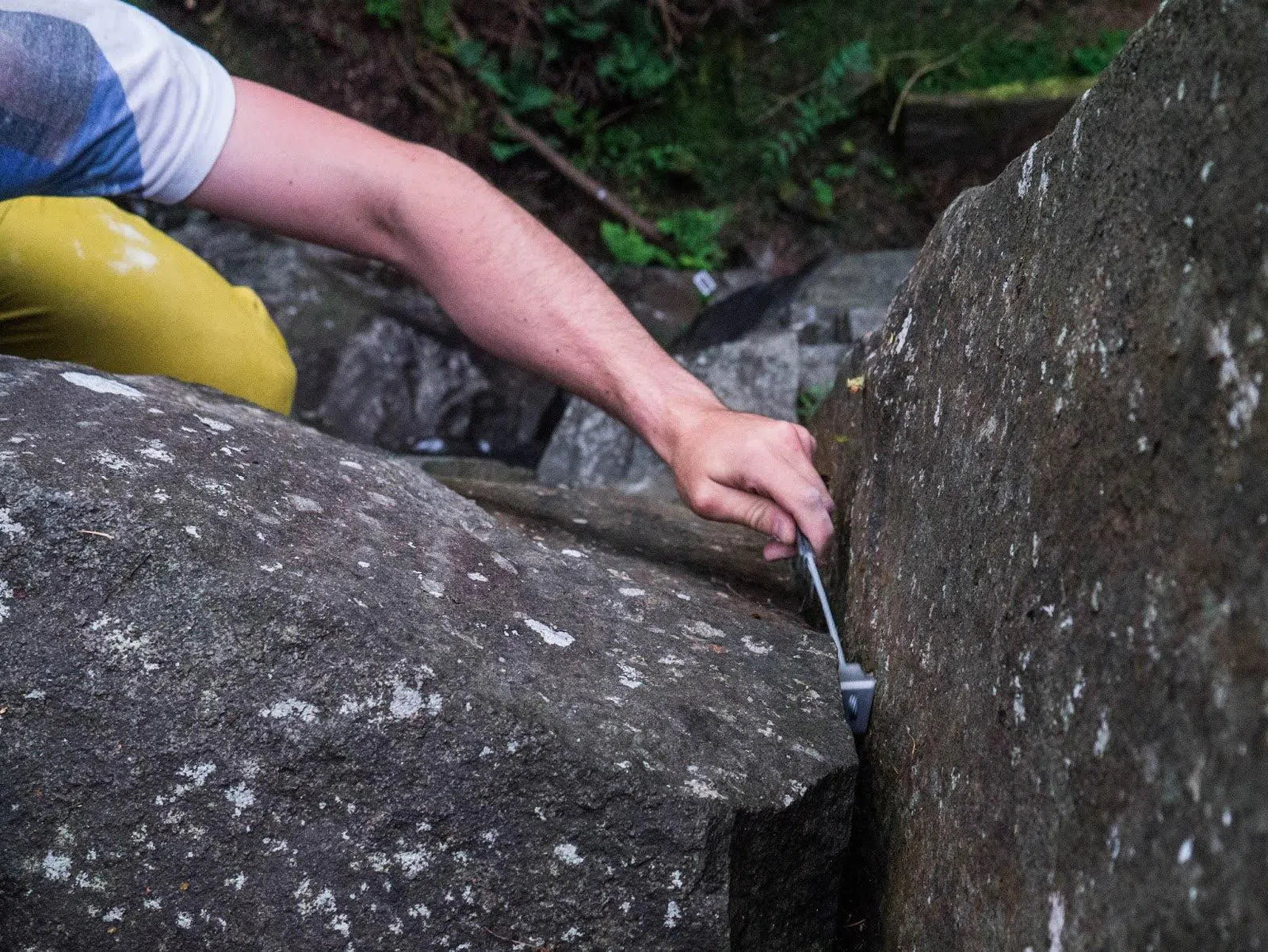 Climbing Nuts