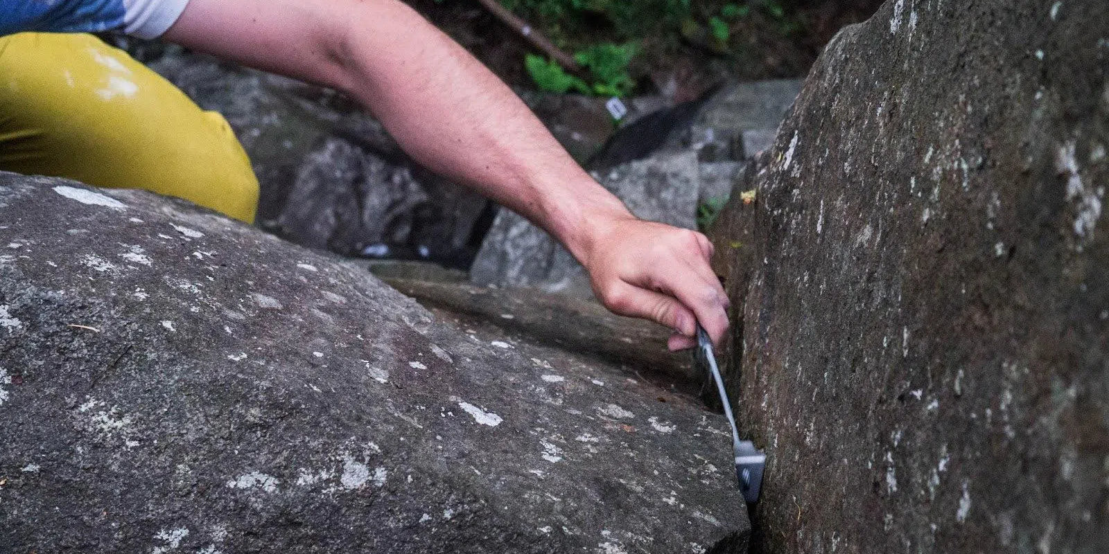 Climbing Nuts