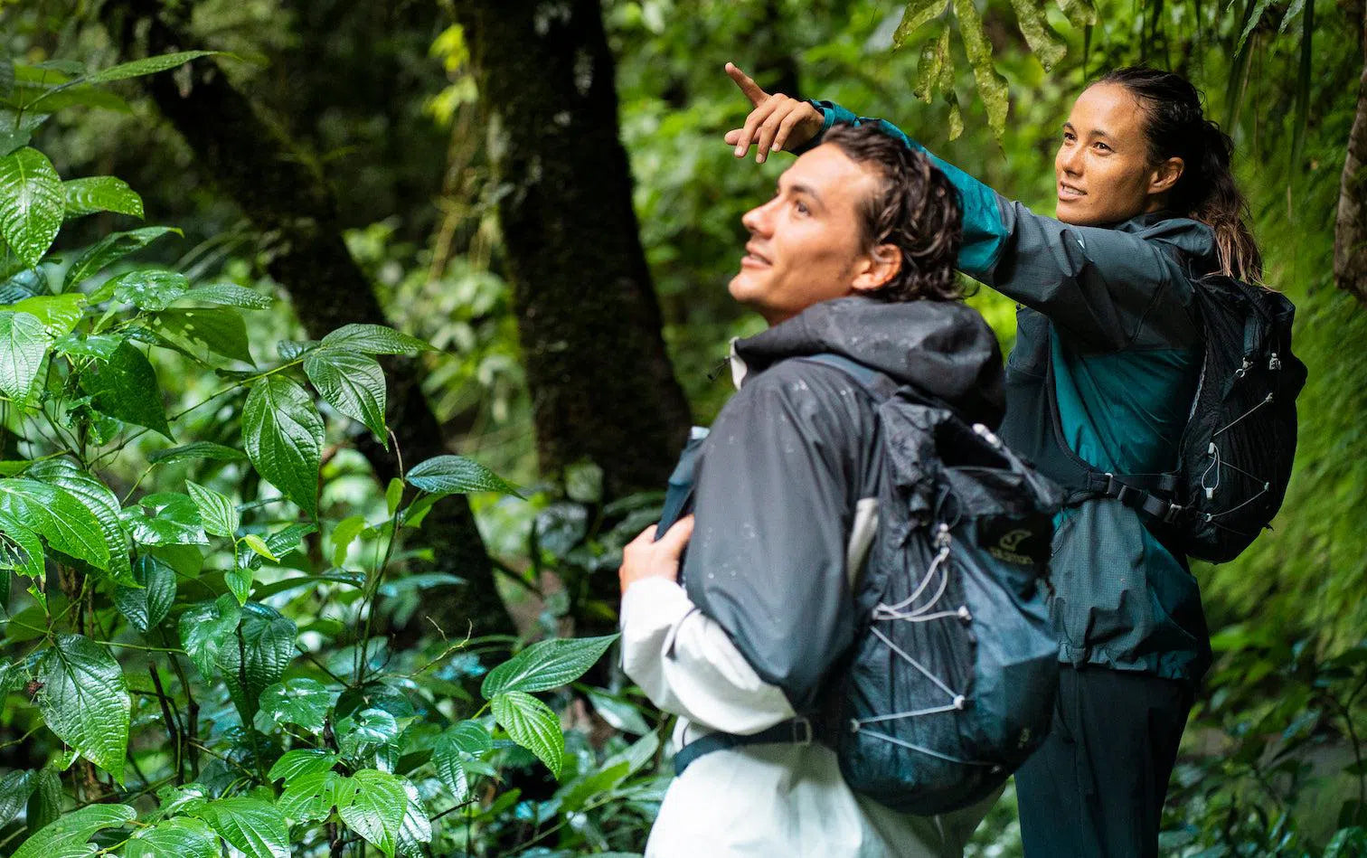 Hiking Packs