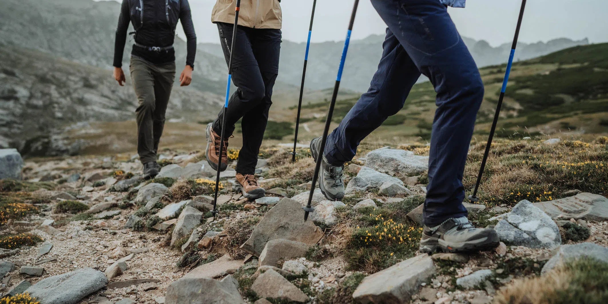 Trekking Poles