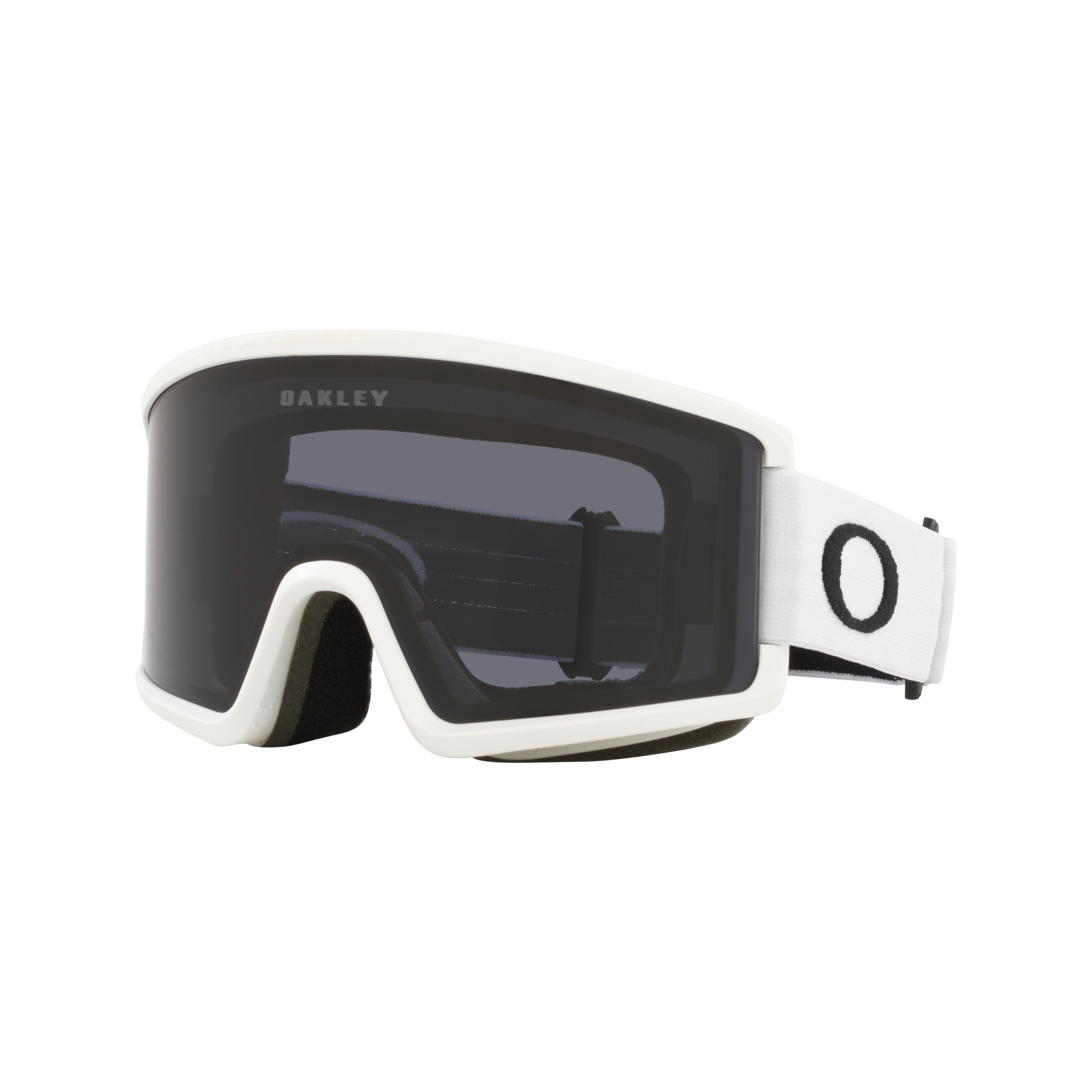 Target Line L Goggles