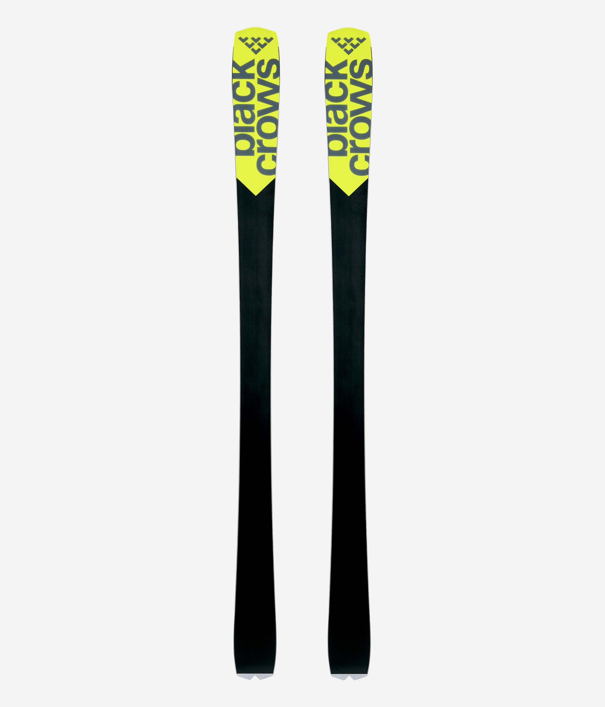 Octo Skis 2025