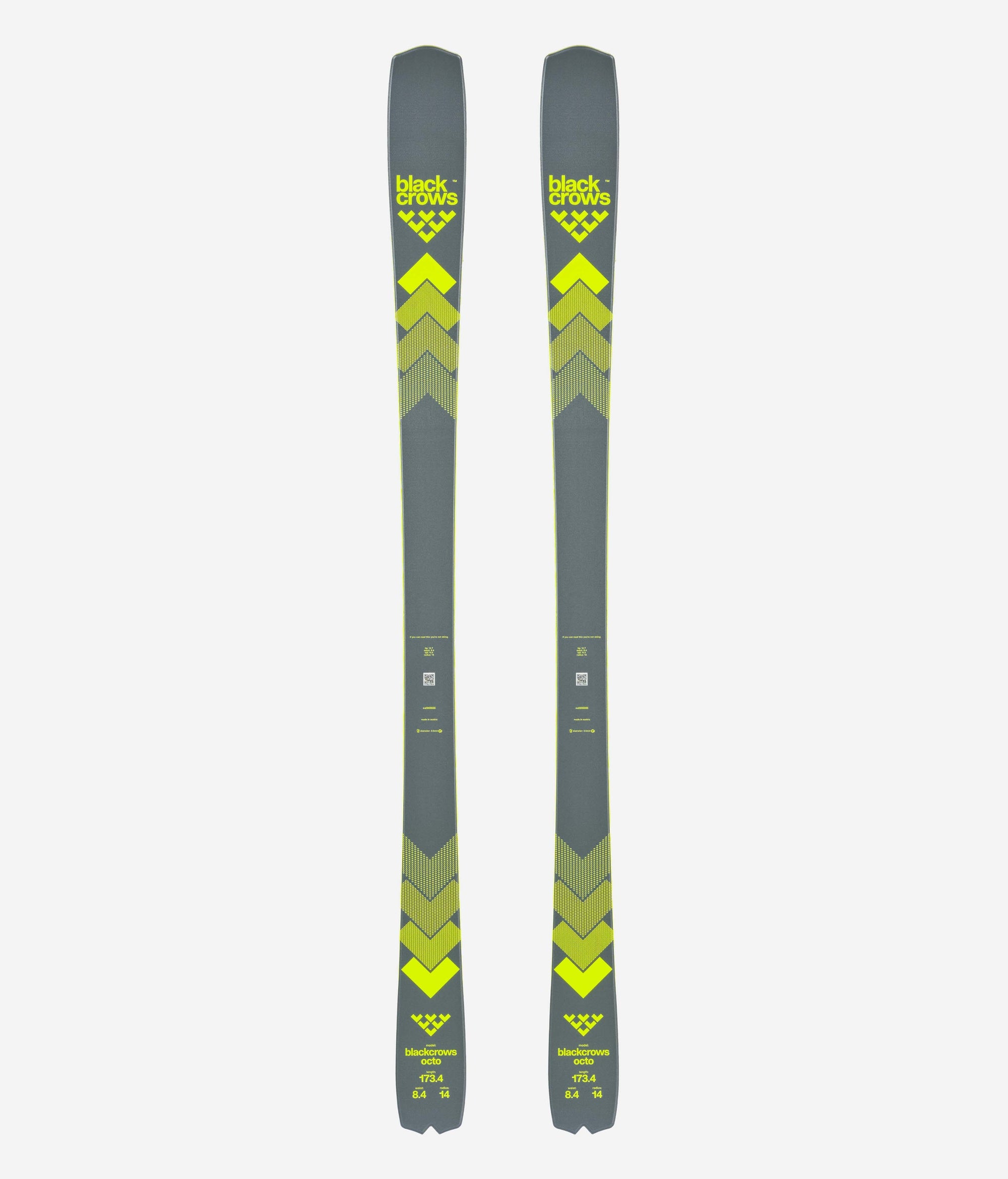 Octo Skis 2025