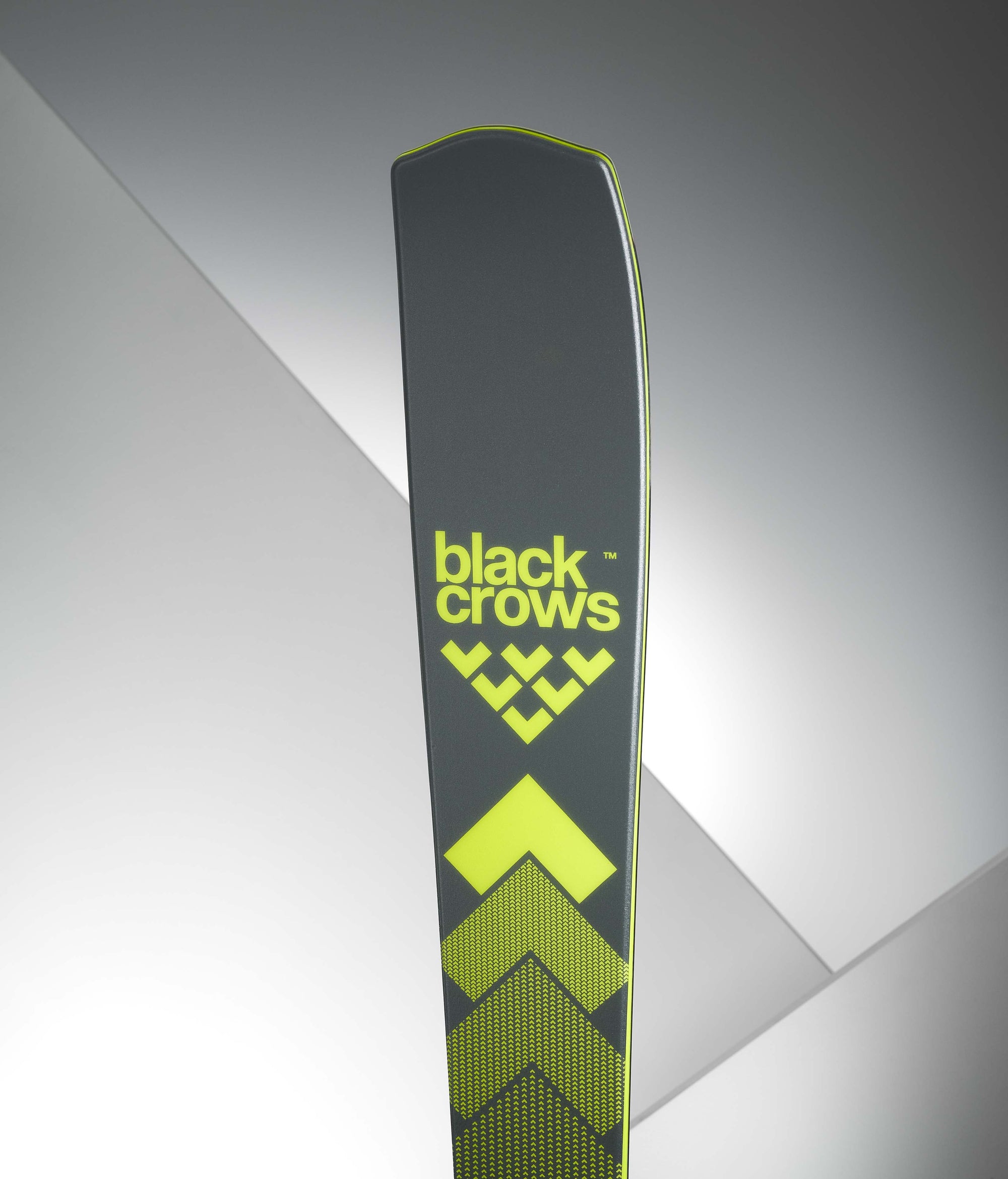 Octo Skis 2025