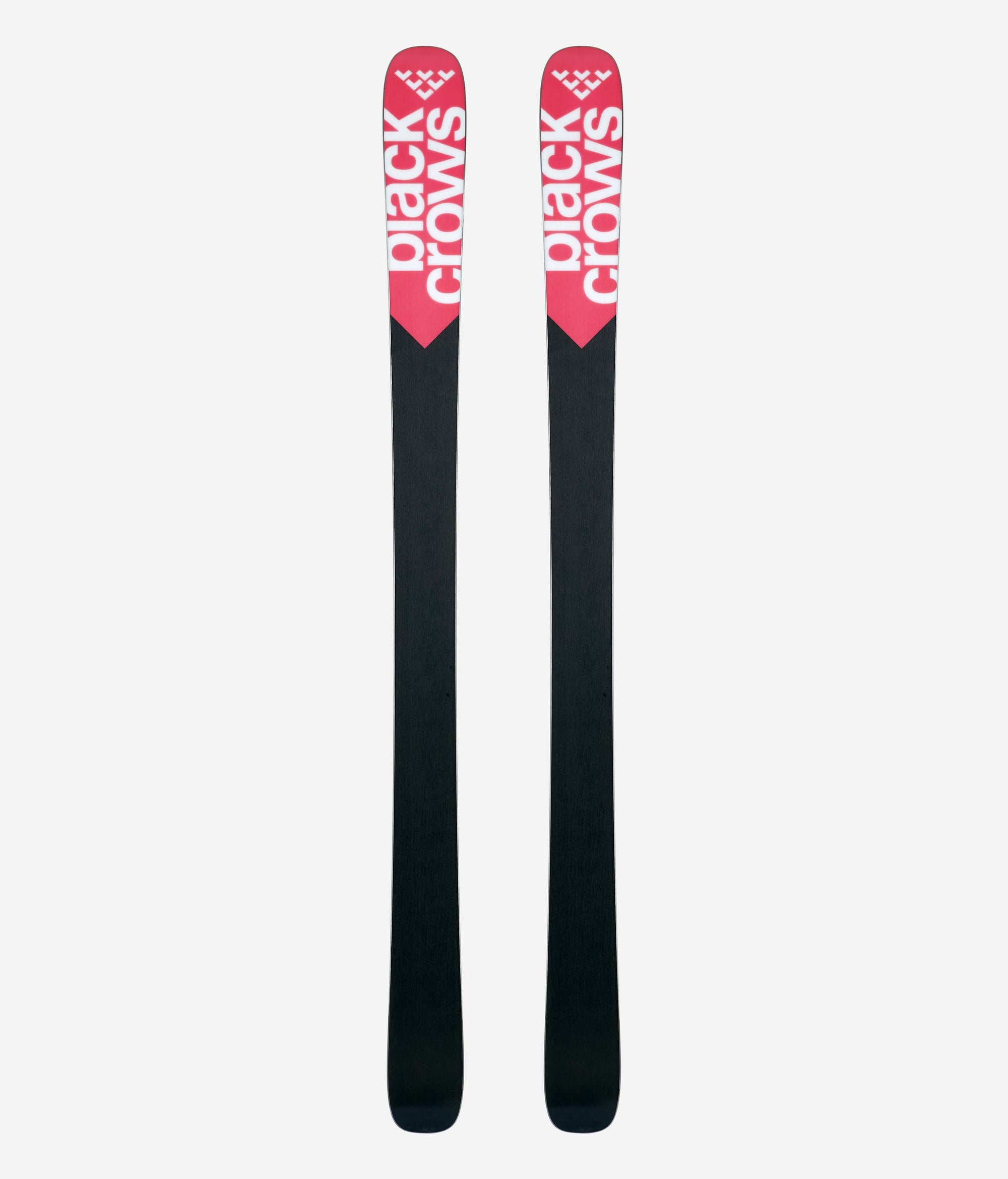 Camox Birdie Skis 2025