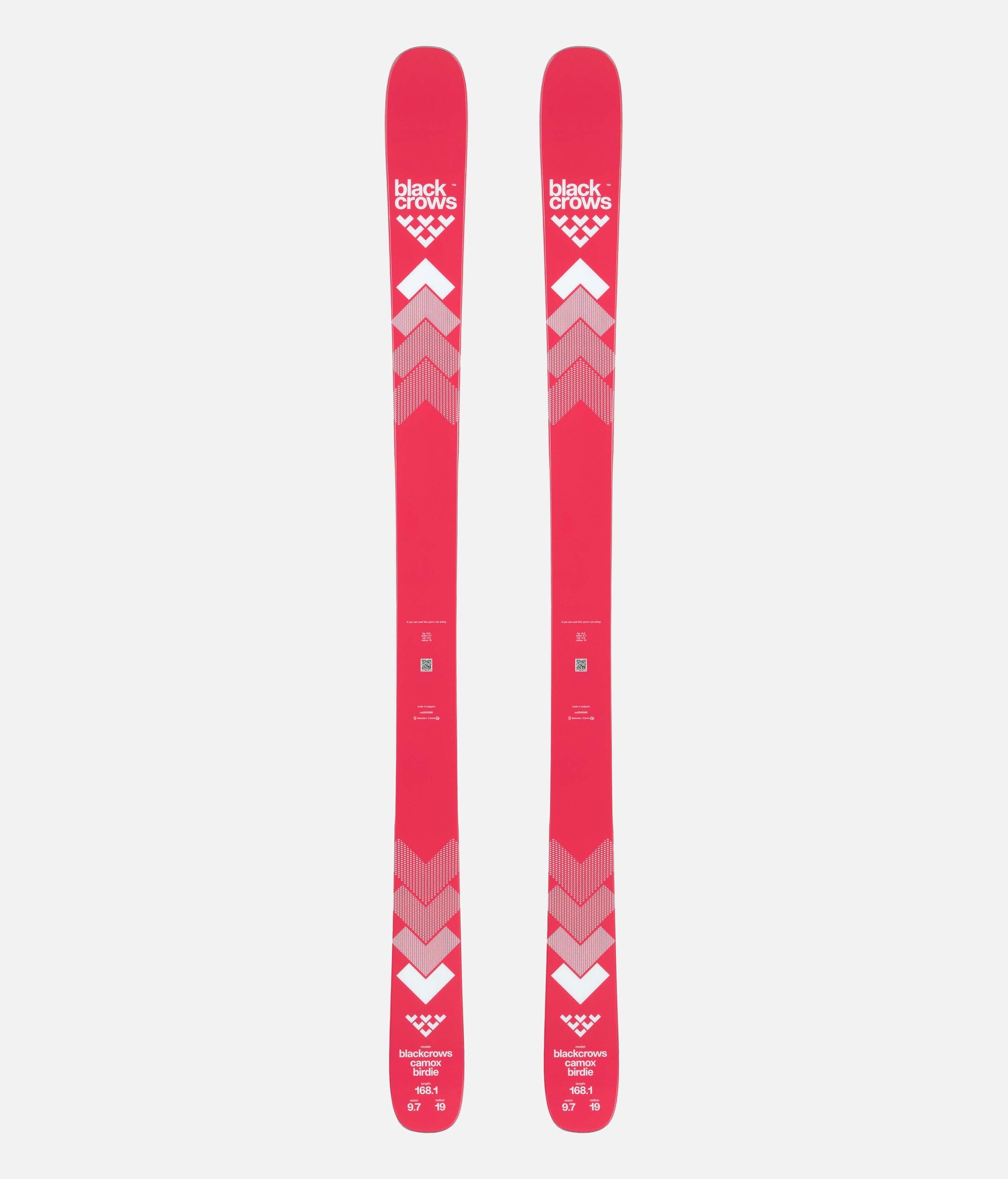 Camox Birdie Skis 2025