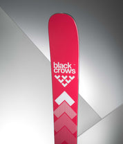 Camox Birdie Skis 2025