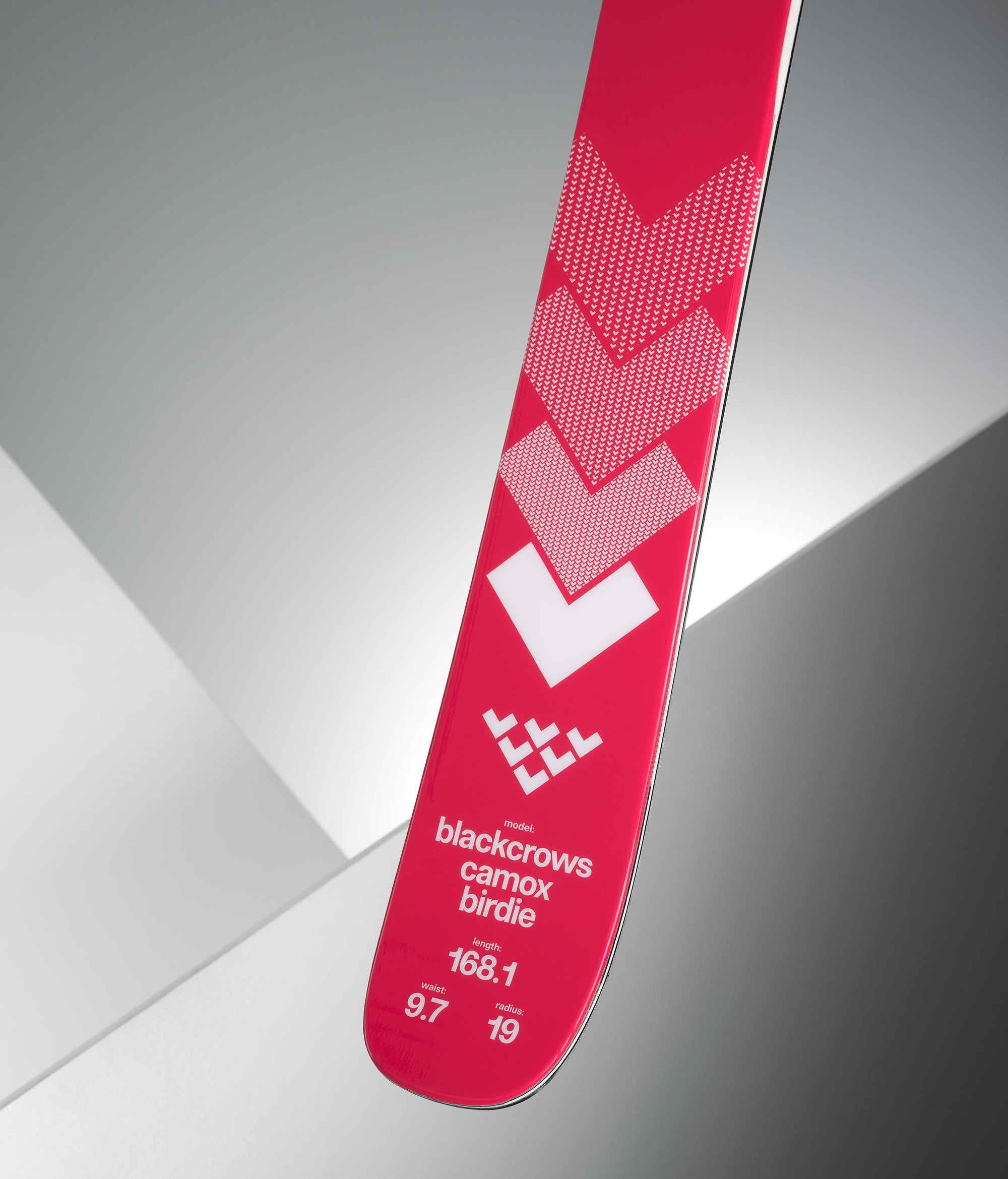 Camox Birdie Skis 2025