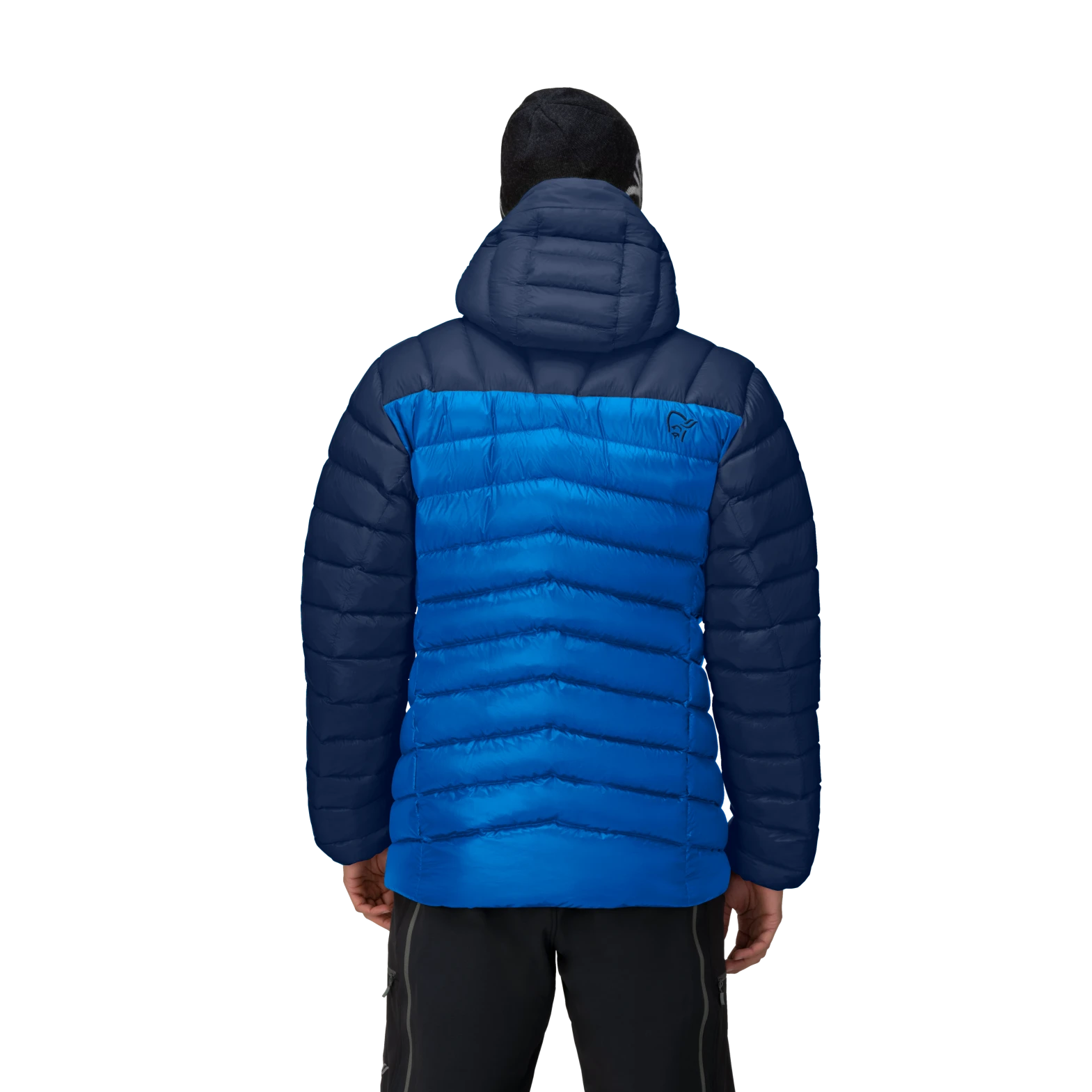 Men's Lyngen Down850 Hoody