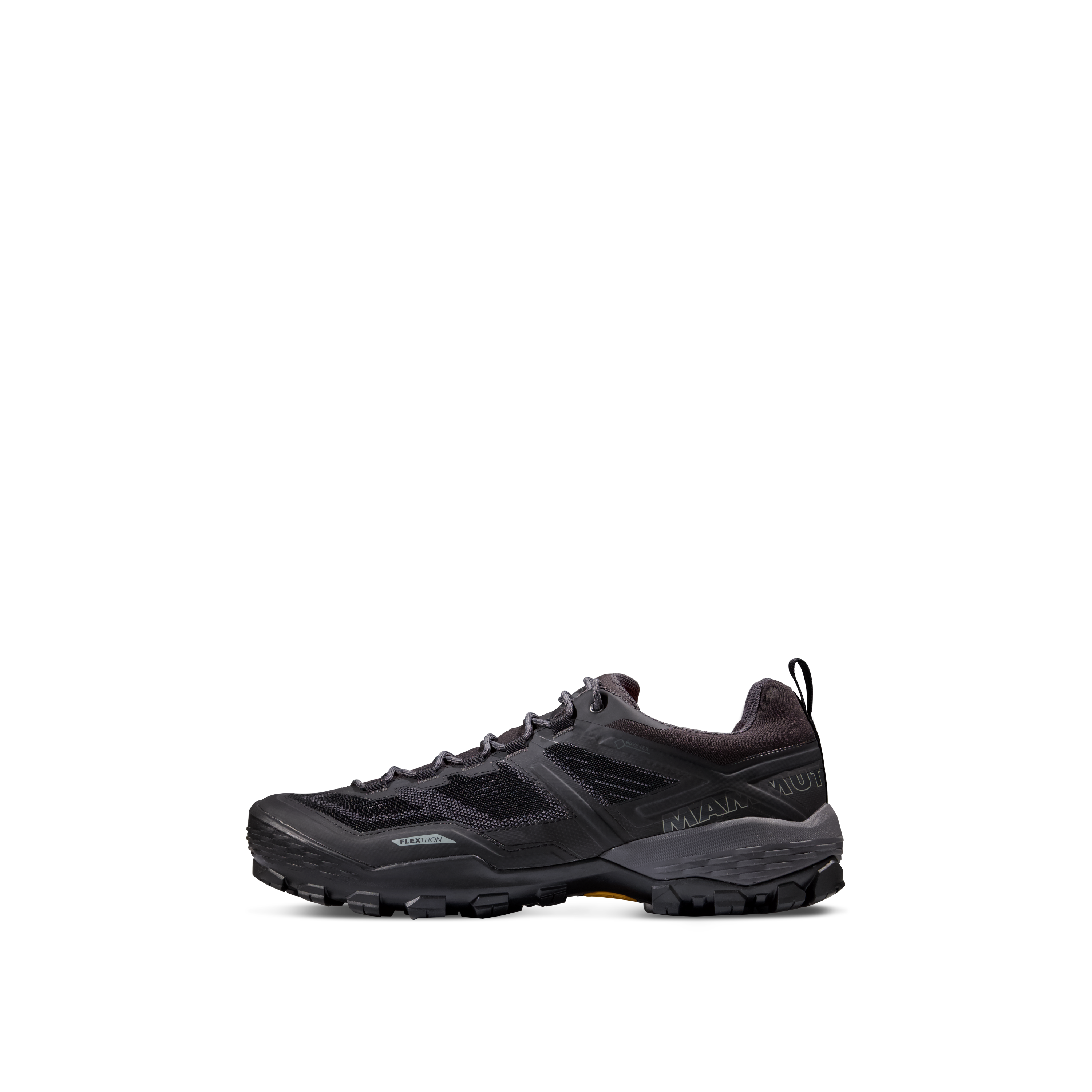 Men's Ducan Low GTX Hiking Shoes