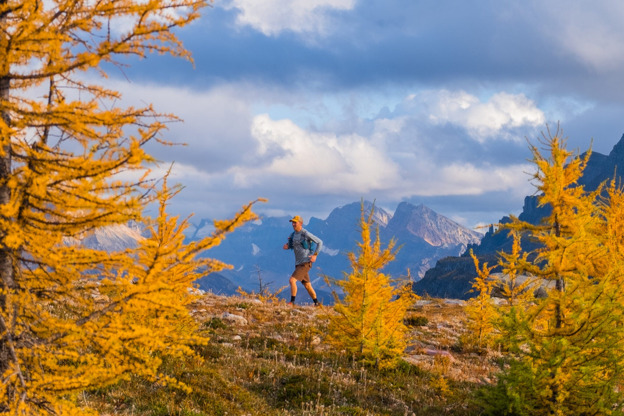 Egypt-Lake-Healy-Pass-Larches-100-scaled_8d93ea08-ddac-45e5-a3e0-63a43a7419a9.png