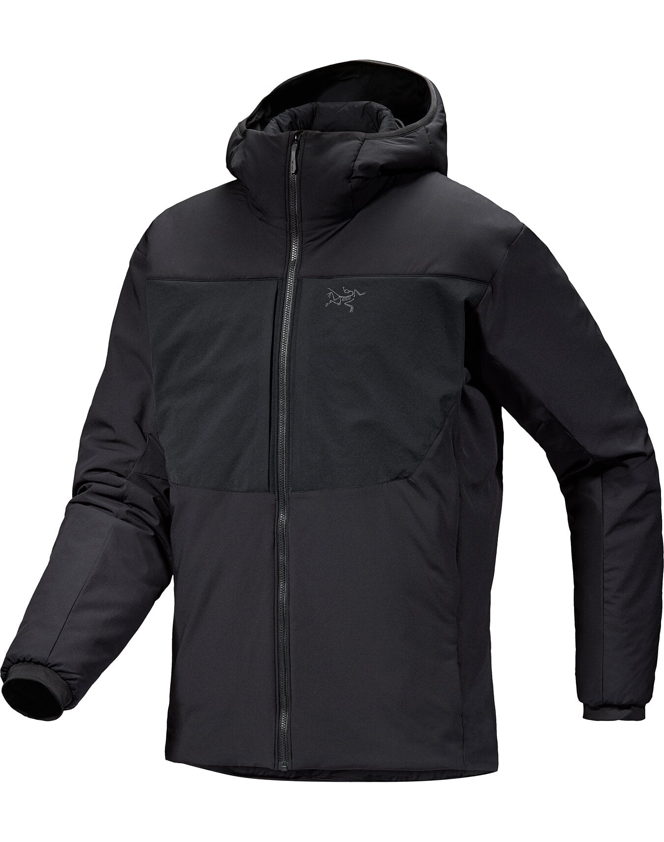 Men's Proton Heavyweight Hoody