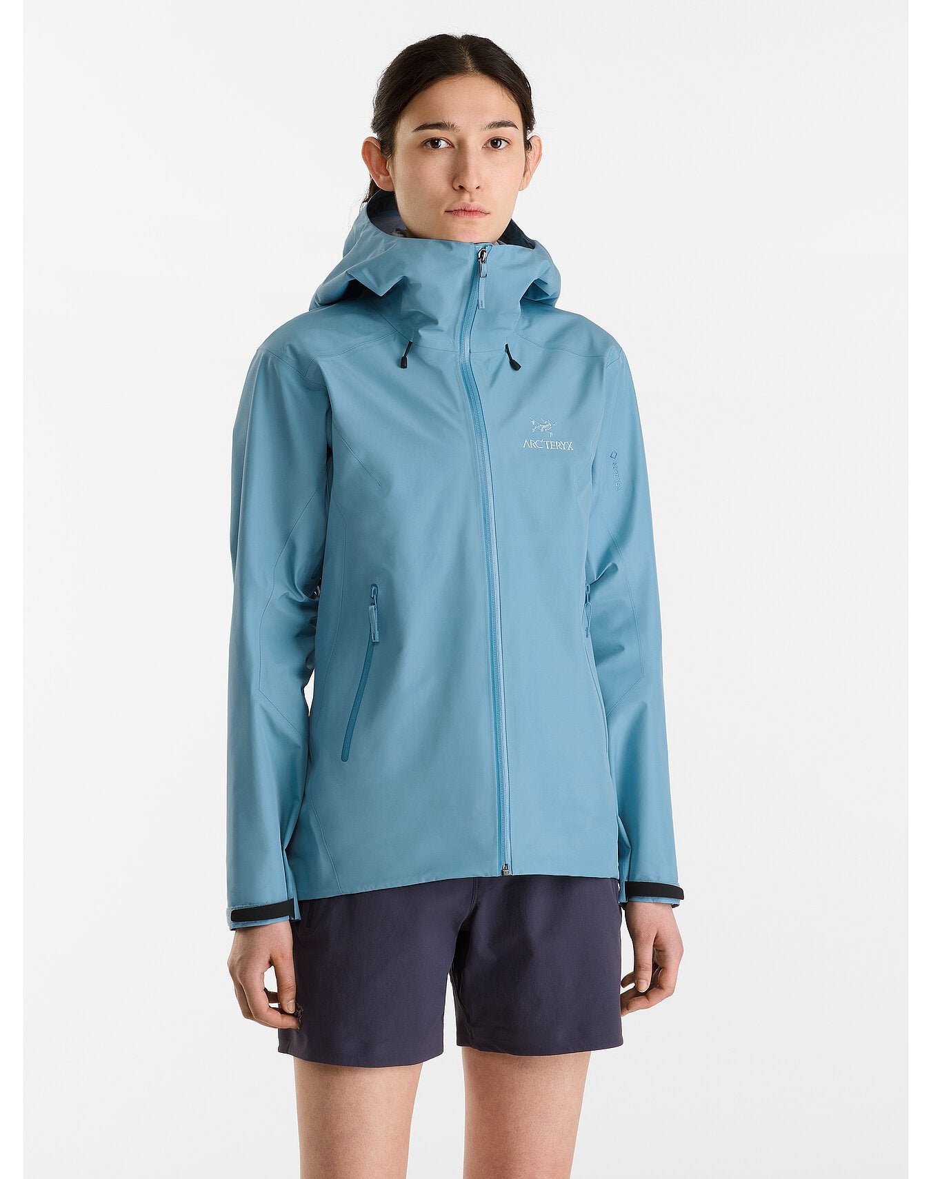 Arc'teryx Women's Beta LT Jacket – Monod Sports