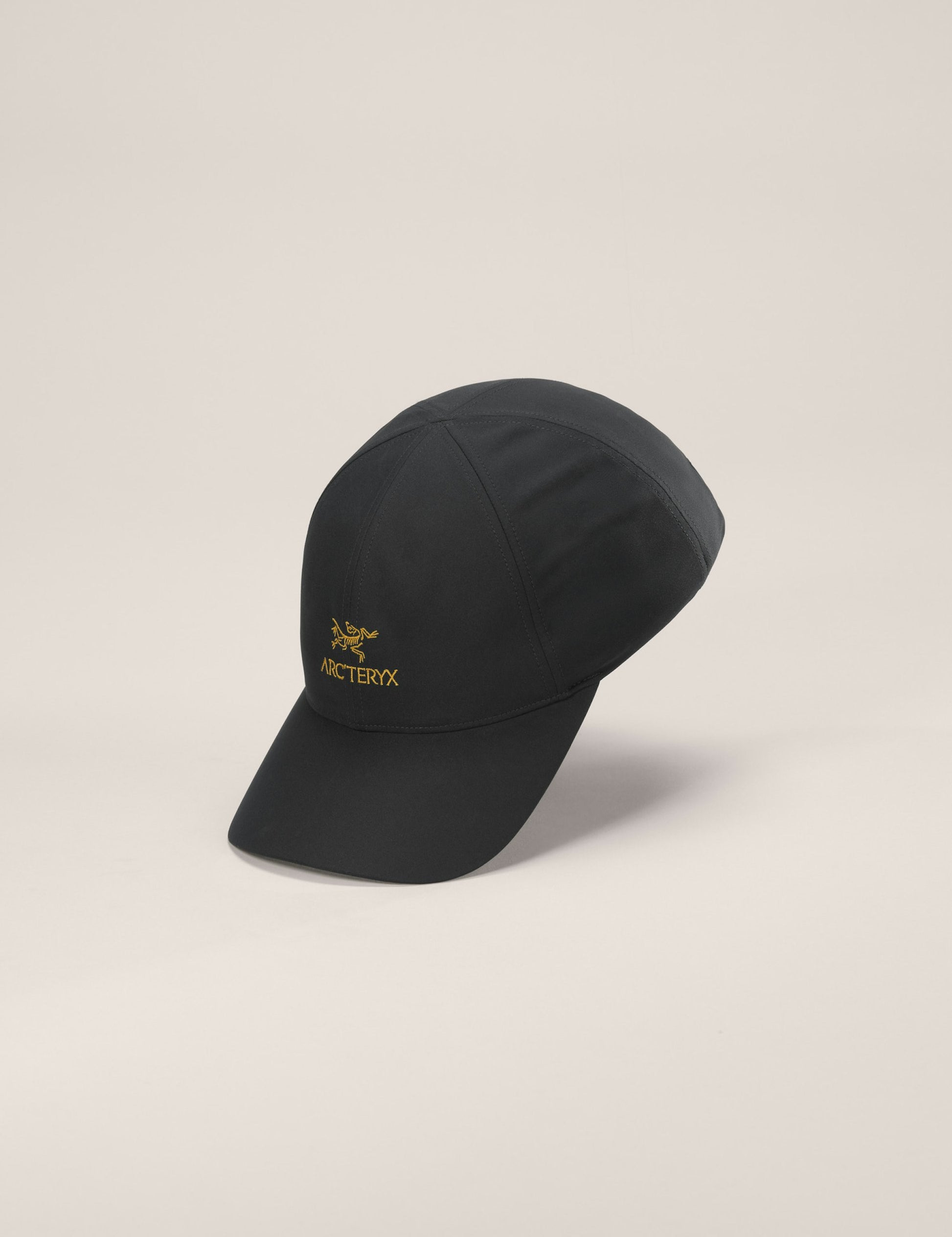 S25-X000009463-Bird-Word-Cap-24K-Black-Front.jpg