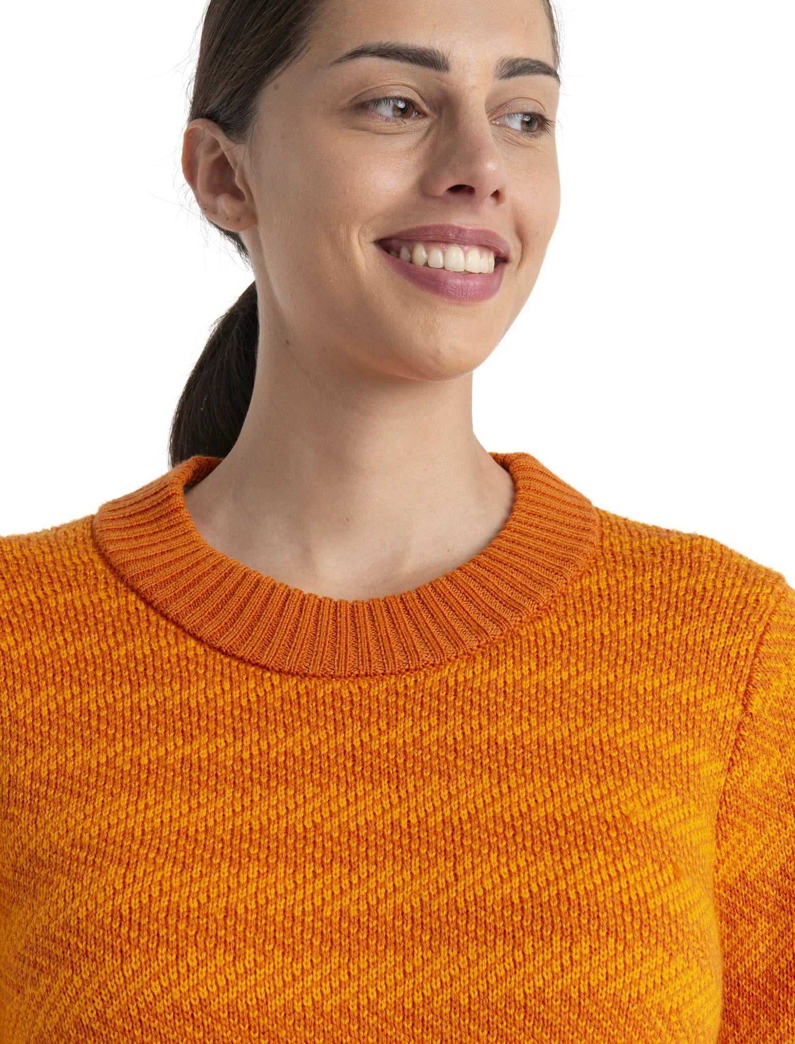 Women's Merino Waypoint Crewe Sweater (Past Season)