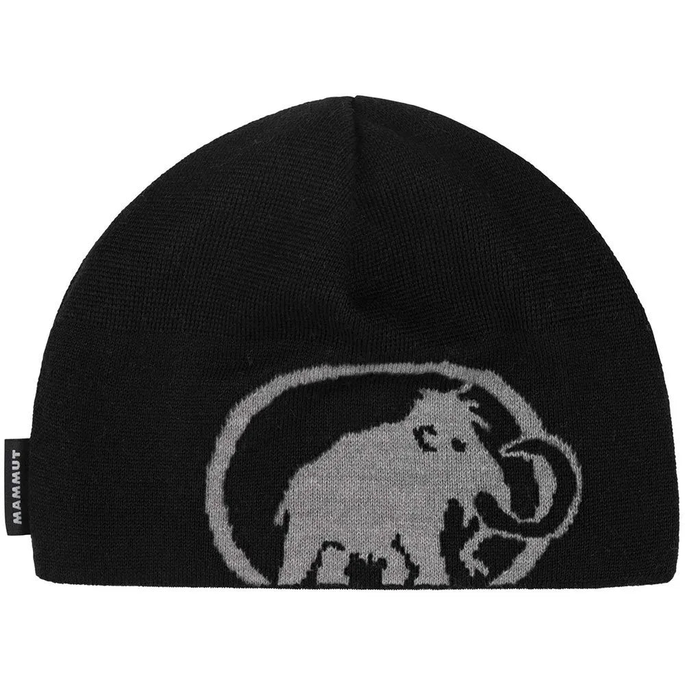 mammut-tweak-beanie.webp