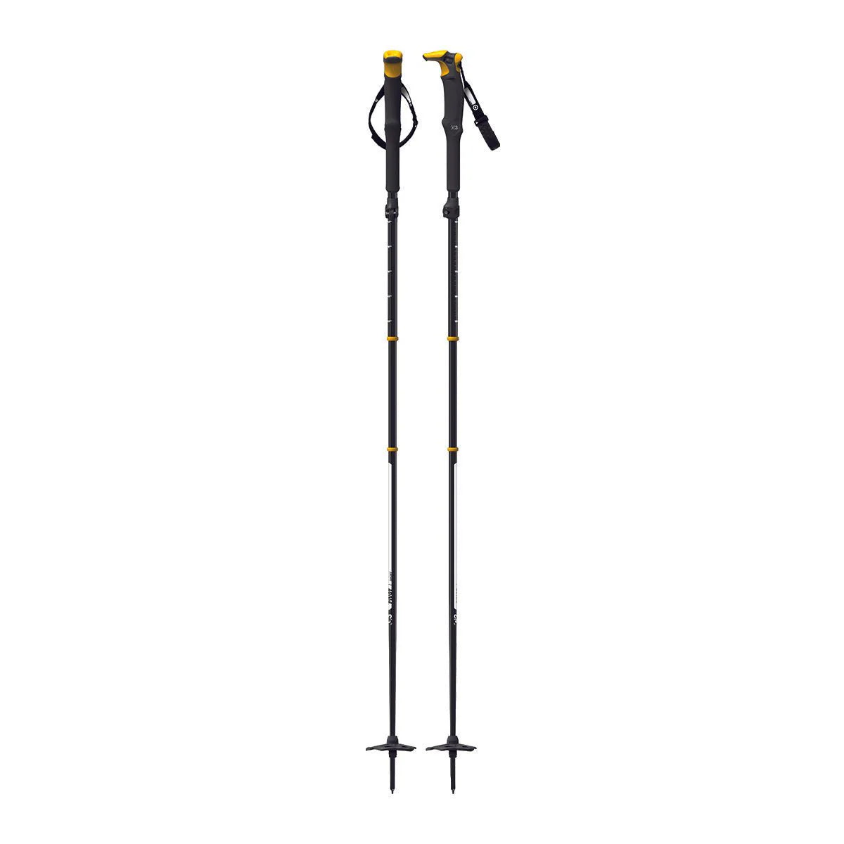 Pivot Ski Poles