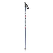 Sun Valley Ski Poles