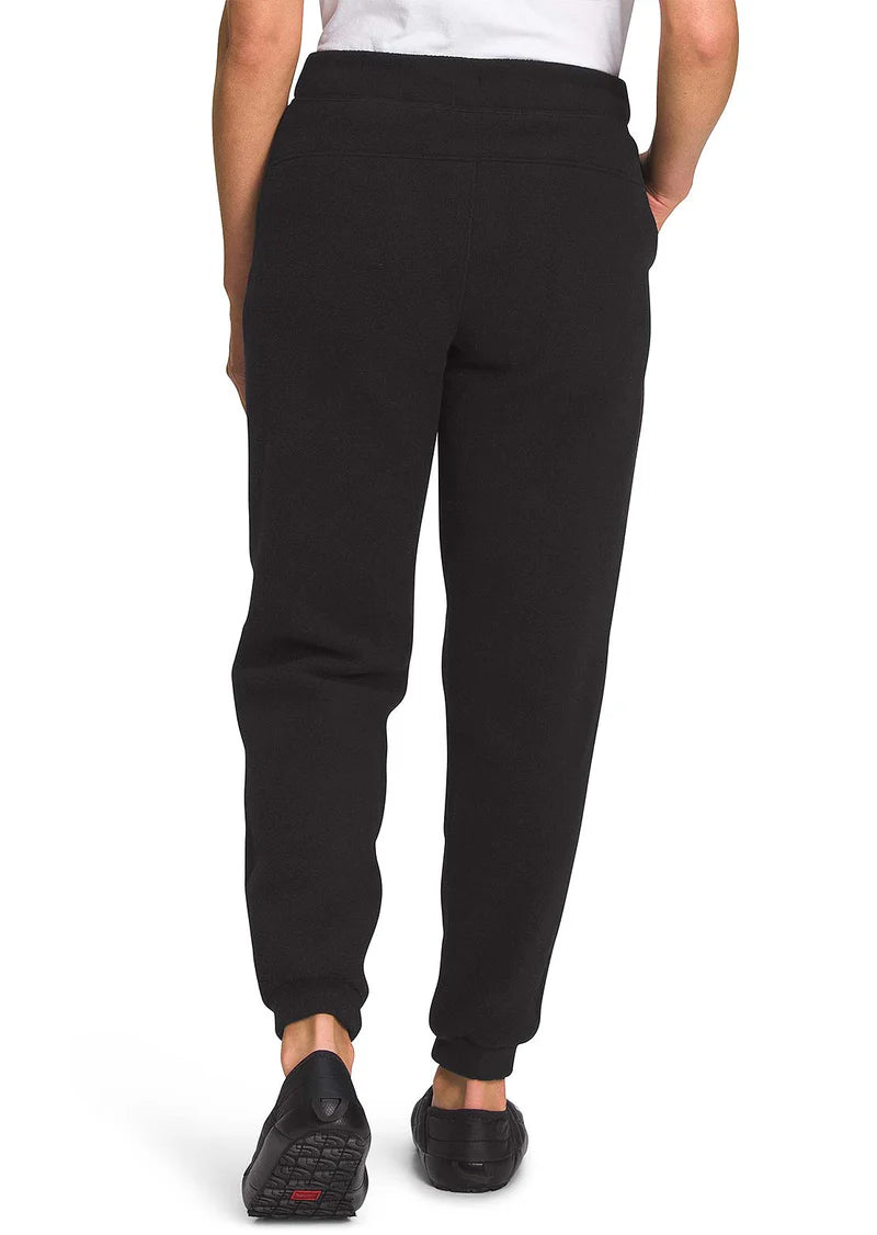 Women's Alpine Polartec 200 Pant (Past Season)