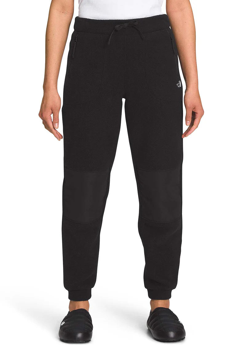 Women's Alpine Polartec 200 Pant (Past Season)